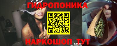 Альфа ПВП Моздок