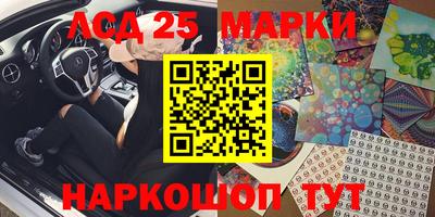Альфа ПВП Моздок