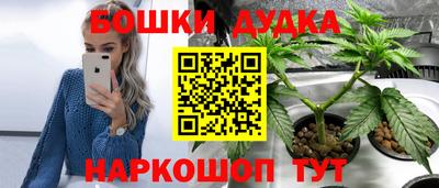 Альфа ПВП Моздок