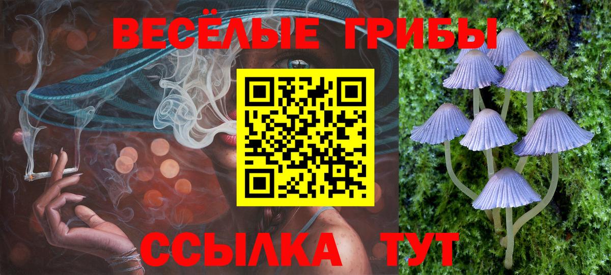 Псилоцибиновые грибы мухоморы Тара