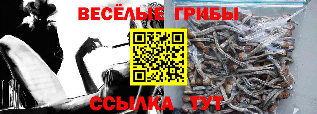 Псилоцибиновые грибы прущие грибы  Вход с VPN  Тара 